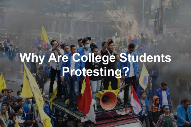 Featured image for Why Are College Students Protesting?