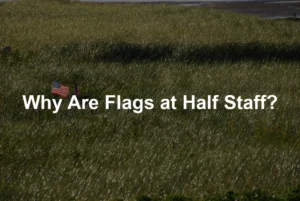 Featured image for Why Are Flags at Half Staff?