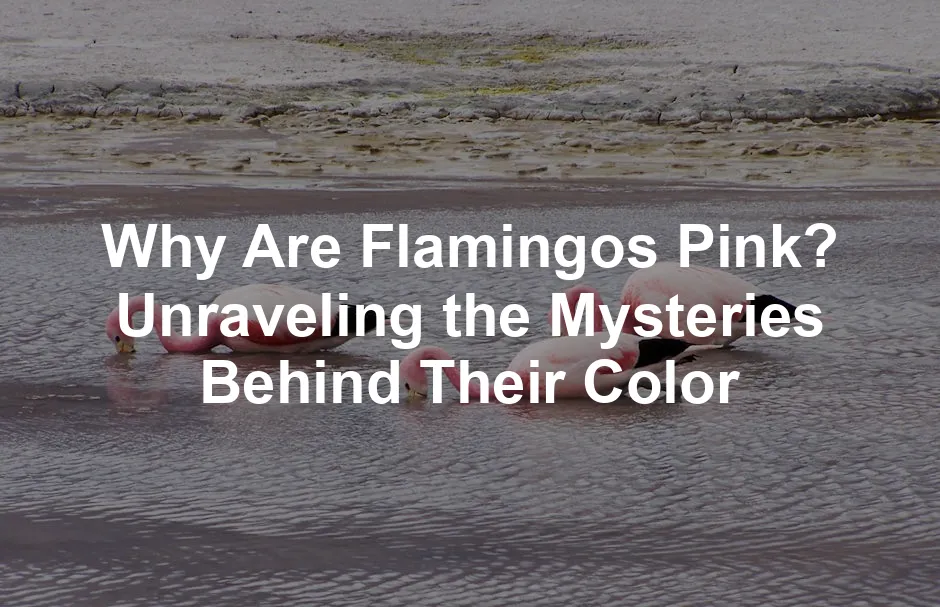 Featured image for Why Are Flamingos Pink? Unraveling the Mysteries Behind Their Color