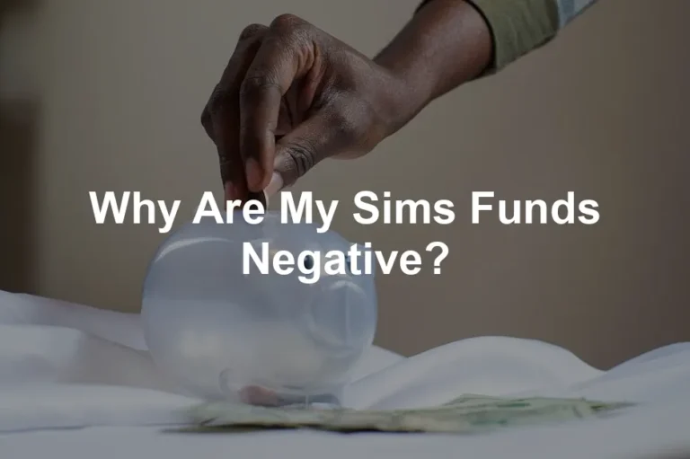 Featured image for Why Are My Sims Funds Negative?