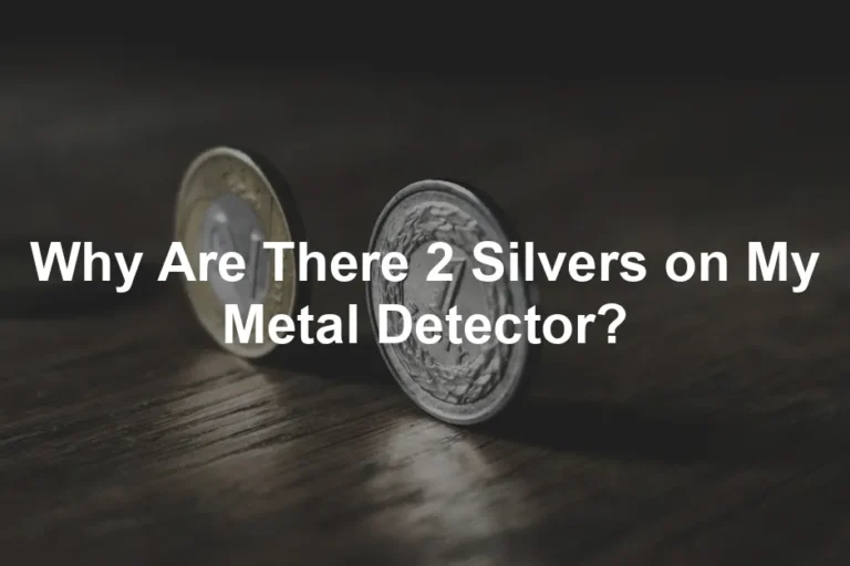 Featured image for Why Are There 2 Silvers on My Metal Detector?