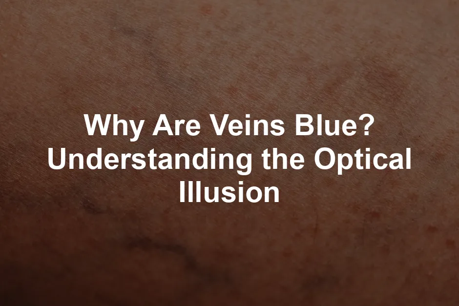 Featured image for Why Are Veins Blue? Understanding the Optical Illusion