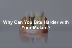 Featured image for Why Can You Bite Harder with Your Molars?