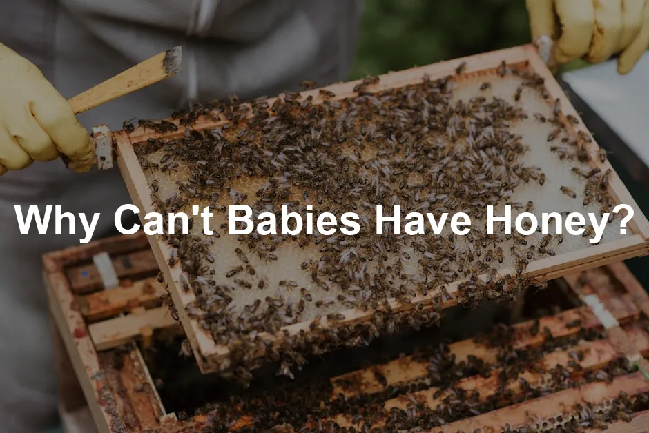 Featured image for Why Can't Babies Have Honey?