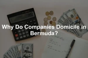 Featured image for Why Do Companies Domicile in Bermuda?
