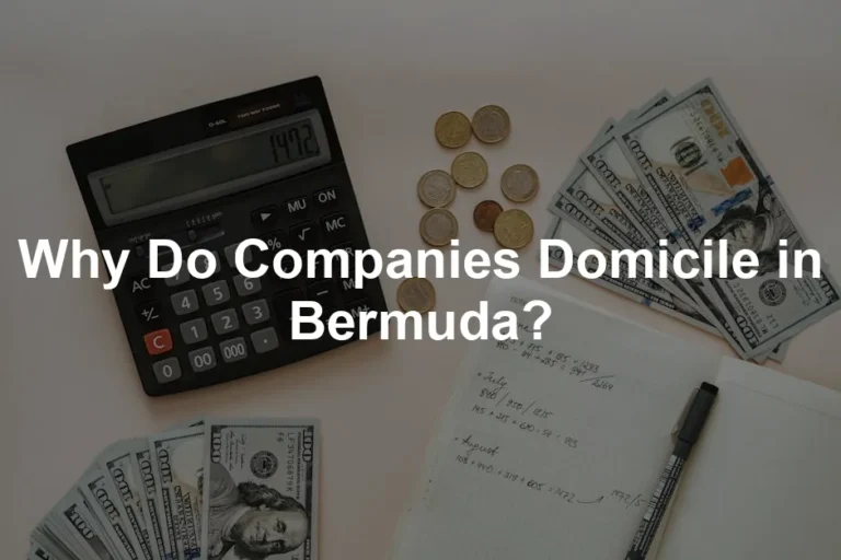 Featured image for Why Do Companies Domicile in Bermuda?