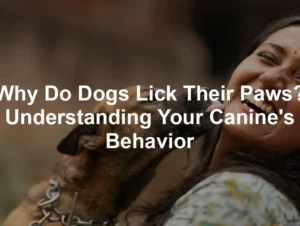 Featured image for Why Do Dogs Lick Their Paws? Understanding Your Canine's Behavior