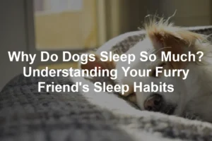 Featured image for Why Do Dogs Sleep So Much? Understanding Your Furry Friend's Sleep Habits
