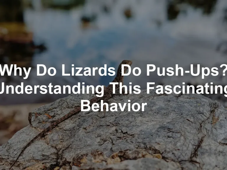 Featured image for Why Do Lizards Do Push-Ups? Understanding This Fascinating Behavior