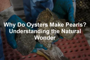 Featured image for Why Do Oysters Make Pearls? Understanding the Natural Wonder