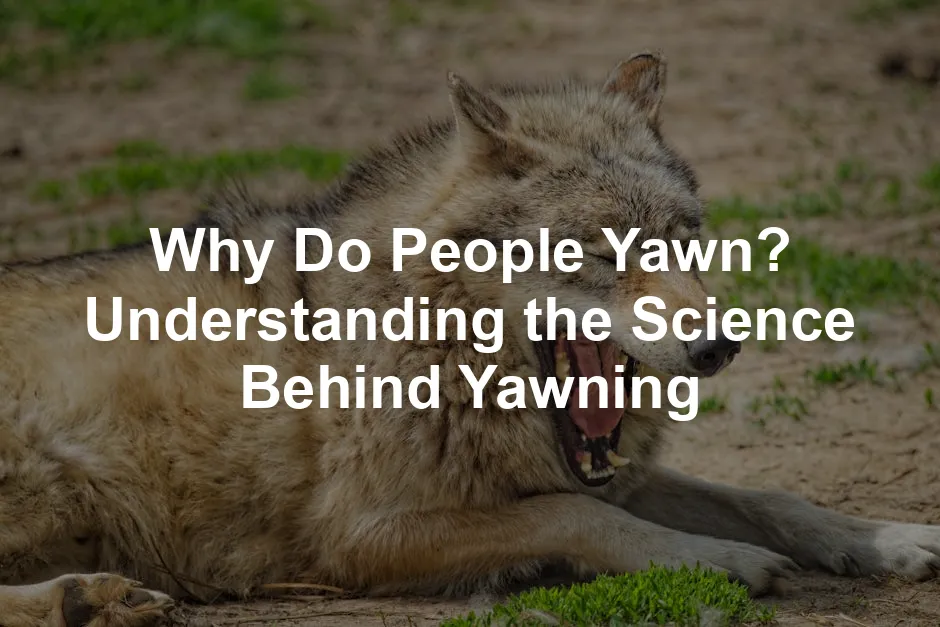 Featured image for Why Do People Yawn? Understanding the Science Behind Yawning