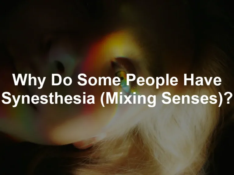 Featured image for Why Do Some People Have Synesthesia (Mixing Senses)?