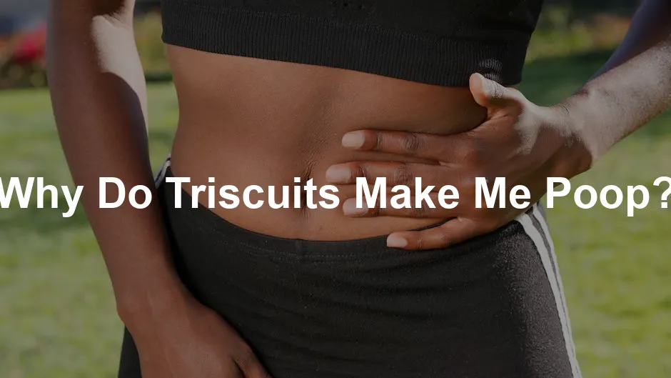 Featured image for Why Do Triscuits Make Me Poop?