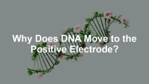 Featured image for Why Does DNA Move to the Positive Electrode?