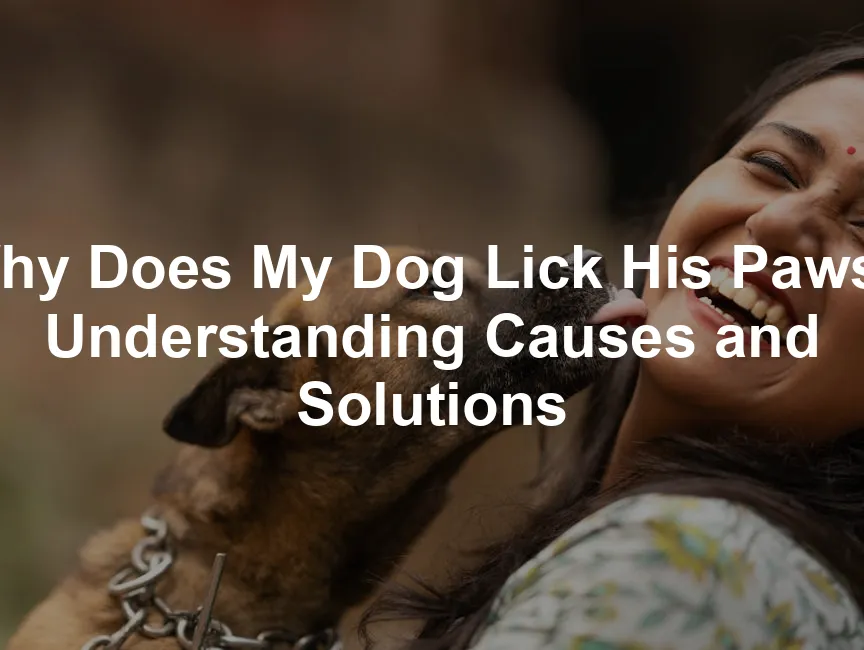 Featured image for Why Does My Dog Lick His Paws? Understanding Causes and Solutions