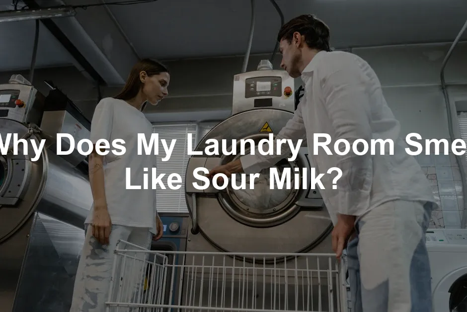 Featured image for Why Does My Laundry Room Smell Like Sour Milk?