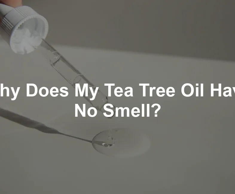 Featured image for Why Does My Tea Tree Oil Have No Smell?