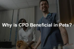 Featured image for Why is CPD Beneficial in Pets?