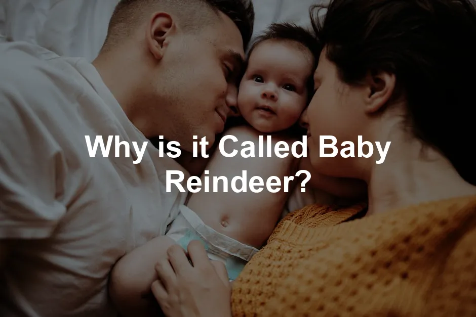 Featured image for Why is it Called Baby Reindeer?