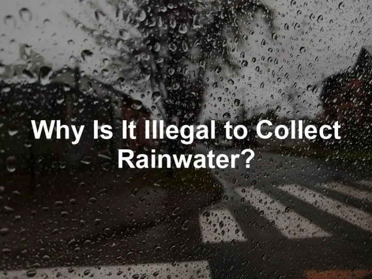 Featured image for Why Is It Illegal to Collect Rainwater?
