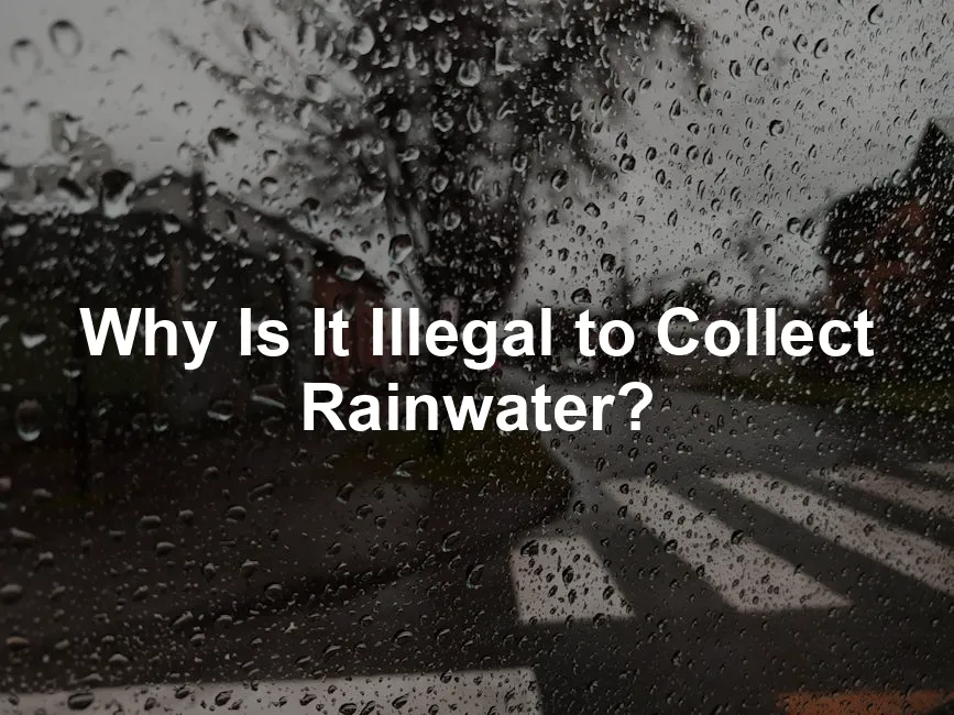 Featured image for Why Is It Illegal to Collect Rainwater?