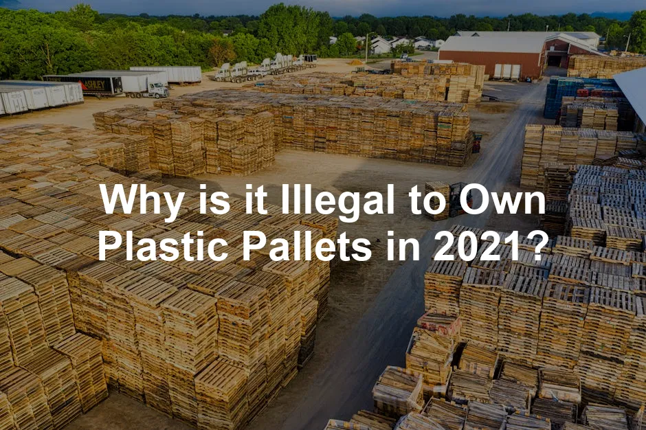 Featured image for Why is it Illegal to Own Plastic Pallets in 2021?