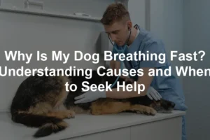 Featured image for Why Is My Dog Breathing Fast? Understanding Causes and When to Seek Help