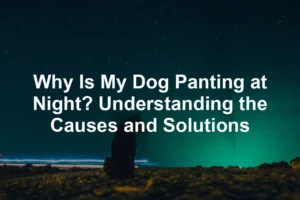 Featured image for Why Is My Dog Panting at Night? Understanding the Causes and Solutions