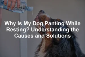 Featured image for Why Is My Dog Panting While Resting? Understanding the Causes and Solutions