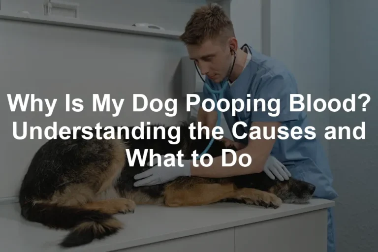 Featured image for Why Is My Dog Pooping Blood? Understanding the Causes and What to Do