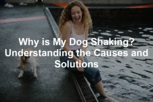 Featured image for Why is My Dog Shaking? Understanding the Causes and Solutions