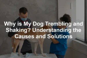 Featured image for Why is My Dog Trembling and Shaking? Understanding the Causes and Solutions