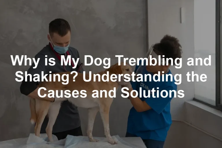 Featured image for Why is My Dog Trembling and Shaking? Understanding the Causes and Solutions