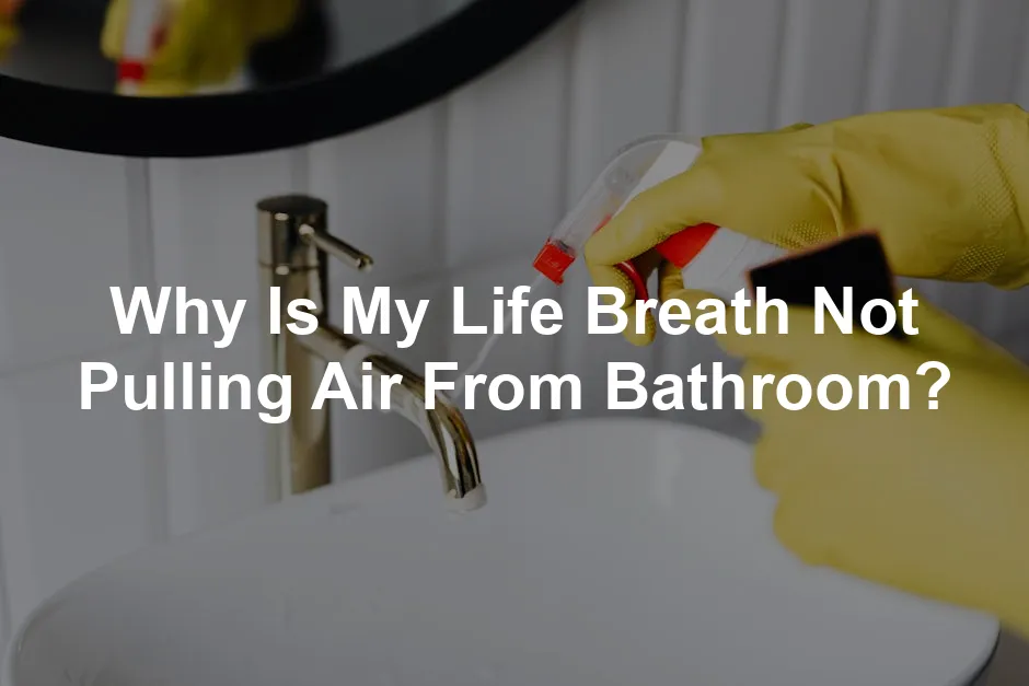 Featured image for Why Is My Life Breath Not Pulling Air From Bathroom?
