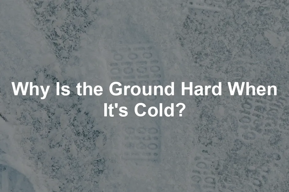 Featured image for Why Is the Ground Hard When It's Cold?