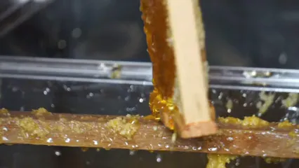 Horizontal video: Scraping honey from the wooden tray 5194714. Duration: 19 seconds. Resolution: 1920x1080