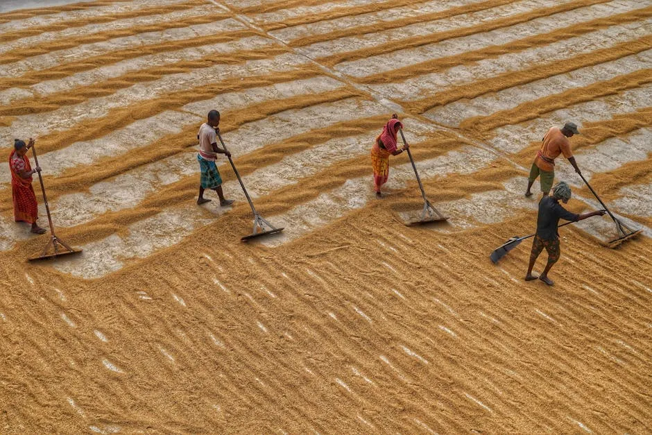 Women and Men Working on Rural Field