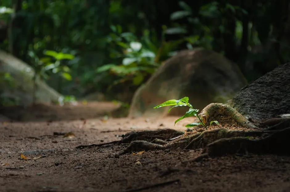 A lush green sapling grows amidst roots on a tranquil forest floor, embodying nature's resilience.