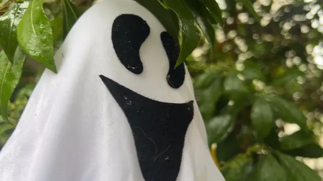 Horizontal video: Ghost decorations hanging in garden 29207960. Duration: 7 seconds. Resolution: 1920x1080