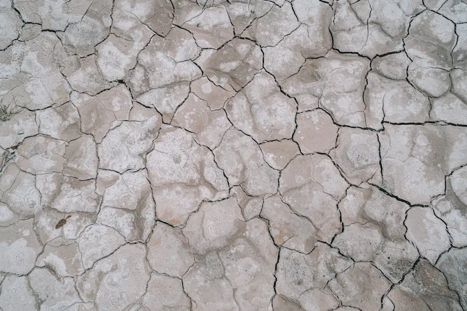 A close-up view of cracked desert soil illustrating drought and arid conditions.