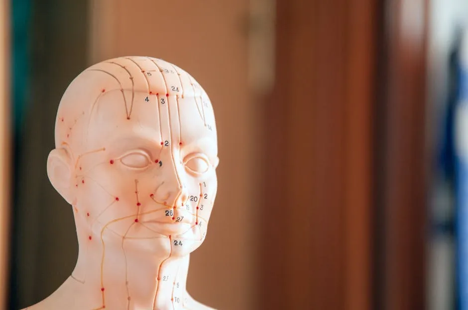 Close-up of a model head showing acupuncture points with numbers and lines.