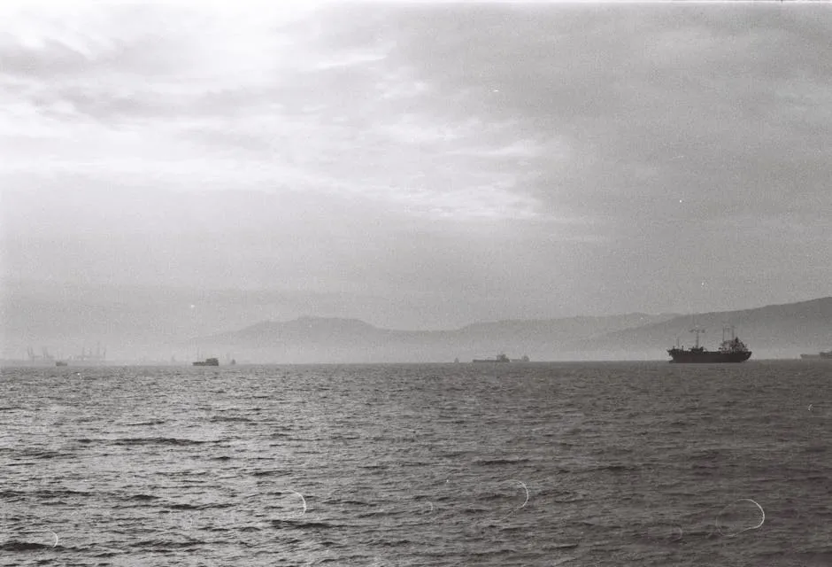 Cargo Ships Close to the Shore