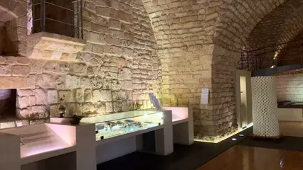 Horizontal video: A museum in lebanon exhibiting early human tools and artifacts 2943586. Duration: 16 seconds. Resolution: 3840x2160