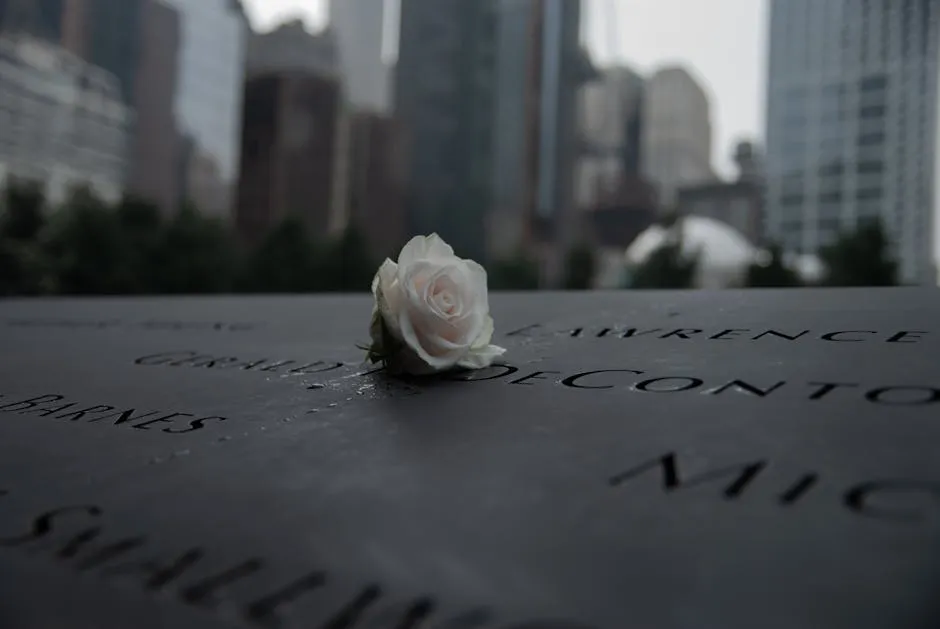 A white rose placed on the 9/11 memorial in New York City, symbolizing remembrance and grief.