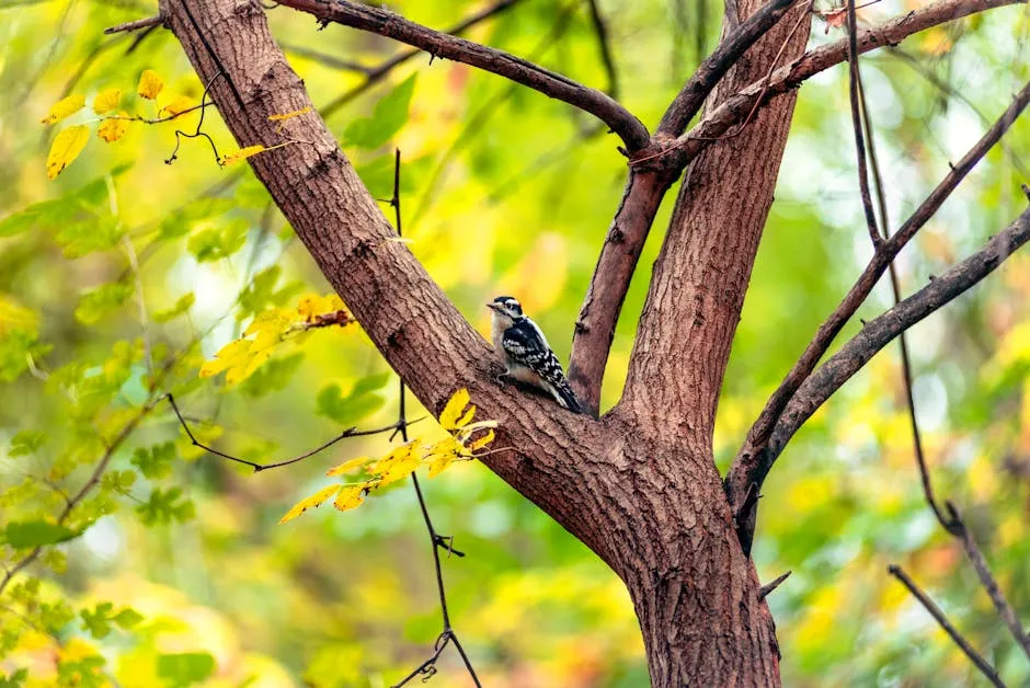 A woodpecker perched on a tree branch amidst vibrant autumn foliage.