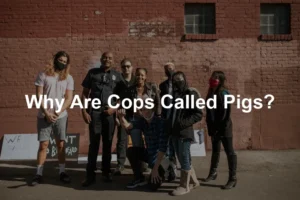 Featured image for Why Are Cops Called Pigs?