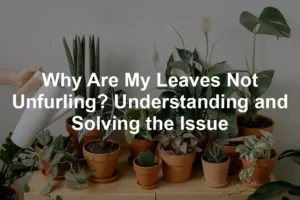Featured image for Why Are My Leaves Not Unfurling? Understanding and Solving the Issue