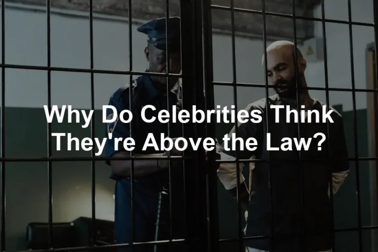 Featured image for Why Do Celebrities Think They're Above the Law?