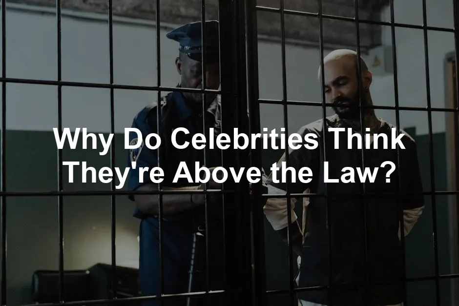 Featured image for Why Do Celebrities Think They're Above the Law?