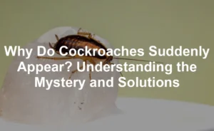 Featured image for Why Do Cockroaches Suddenly Appear? Understanding the Mystery and Solutions